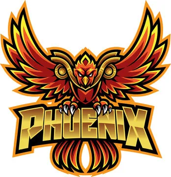 Team D Logo